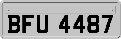 BFU4487