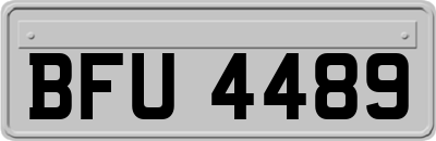 BFU4489