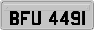 BFU4491