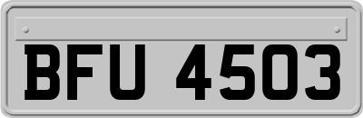 BFU4503