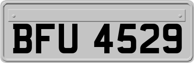 BFU4529