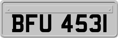 BFU4531