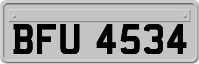 BFU4534