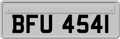 BFU4541