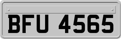 BFU4565