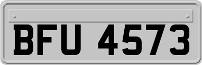 BFU4573