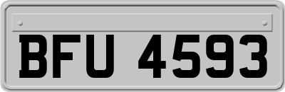 BFU4593