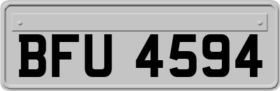 BFU4594