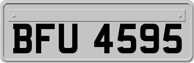 BFU4595