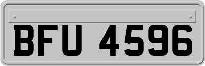 BFU4596