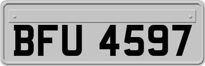 BFU4597