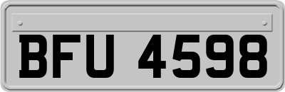 BFU4598