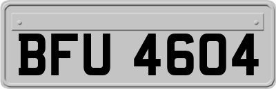 BFU4604
