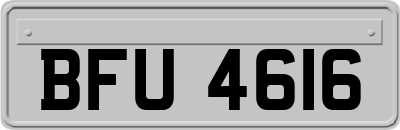 BFU4616