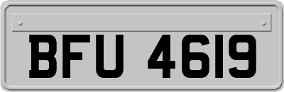 BFU4619