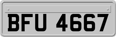 BFU4667
