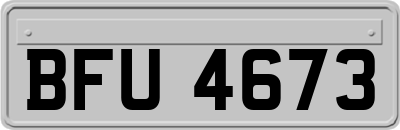BFU4673