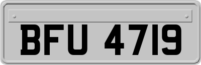BFU4719