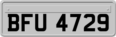 BFU4729