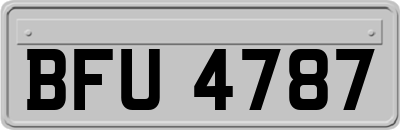 BFU4787