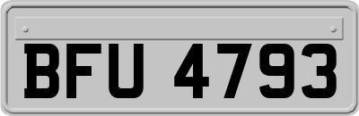 BFU4793