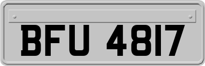 BFU4817