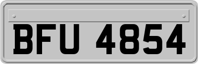 BFU4854