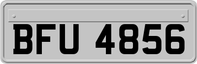 BFU4856