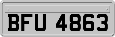 BFU4863