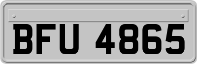 BFU4865