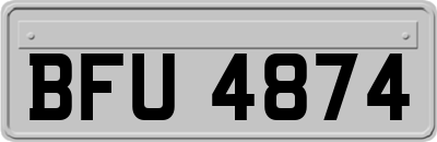 BFU4874