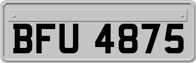 BFU4875