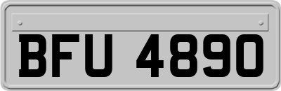 BFU4890