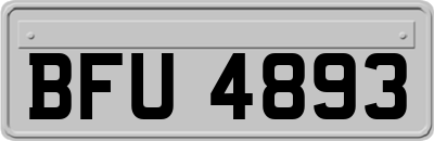 BFU4893