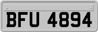 BFU4894