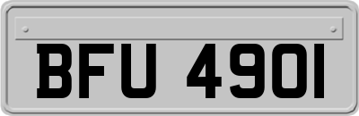 BFU4901