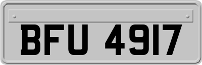 BFU4917