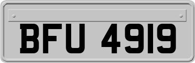 BFU4919