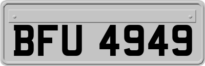 BFU4949