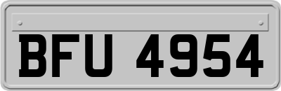 BFU4954