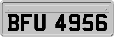 BFU4956