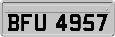 BFU4957
