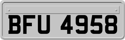 BFU4958
