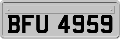 BFU4959