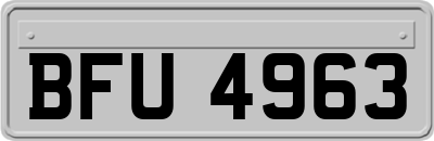 BFU4963