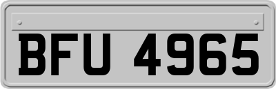 BFU4965