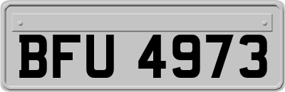 BFU4973