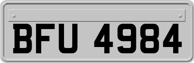 BFU4984