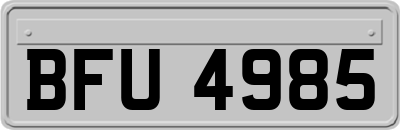 BFU4985