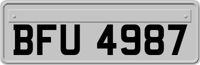 BFU4987